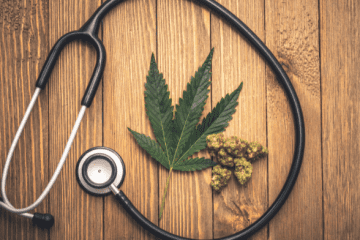 neue studie zu medizinischem cannabis